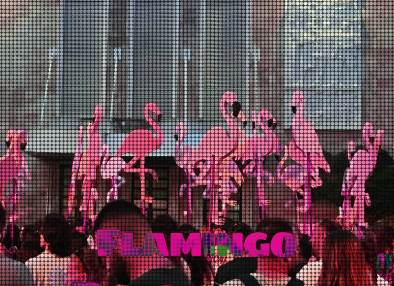 Revolucioni Flamingo- Nga Rigers Balliu