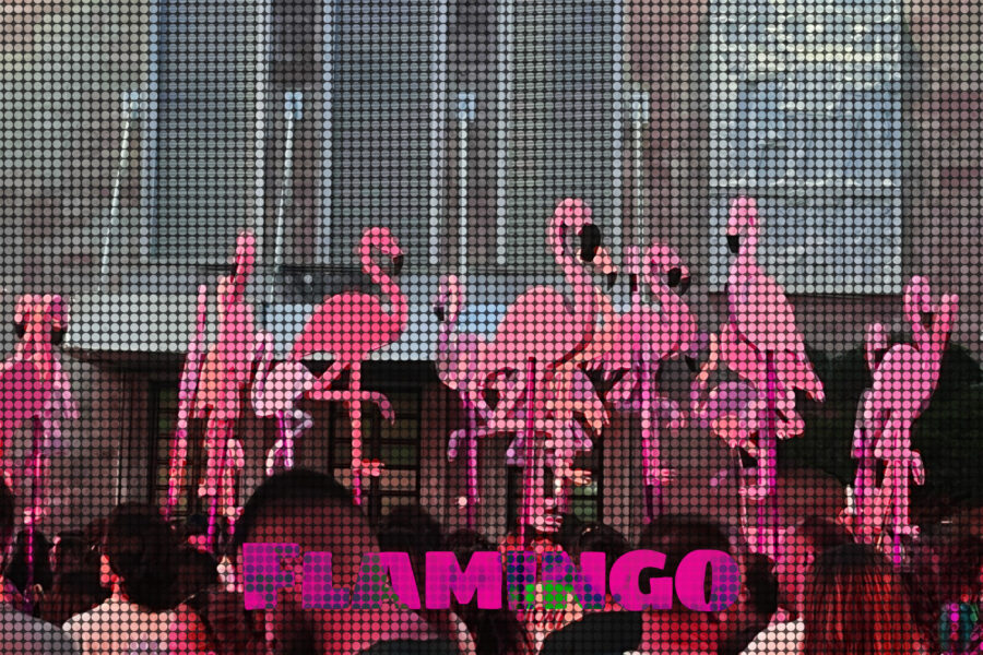 Revolucioni Flamingo- Nga Rigers Balliu