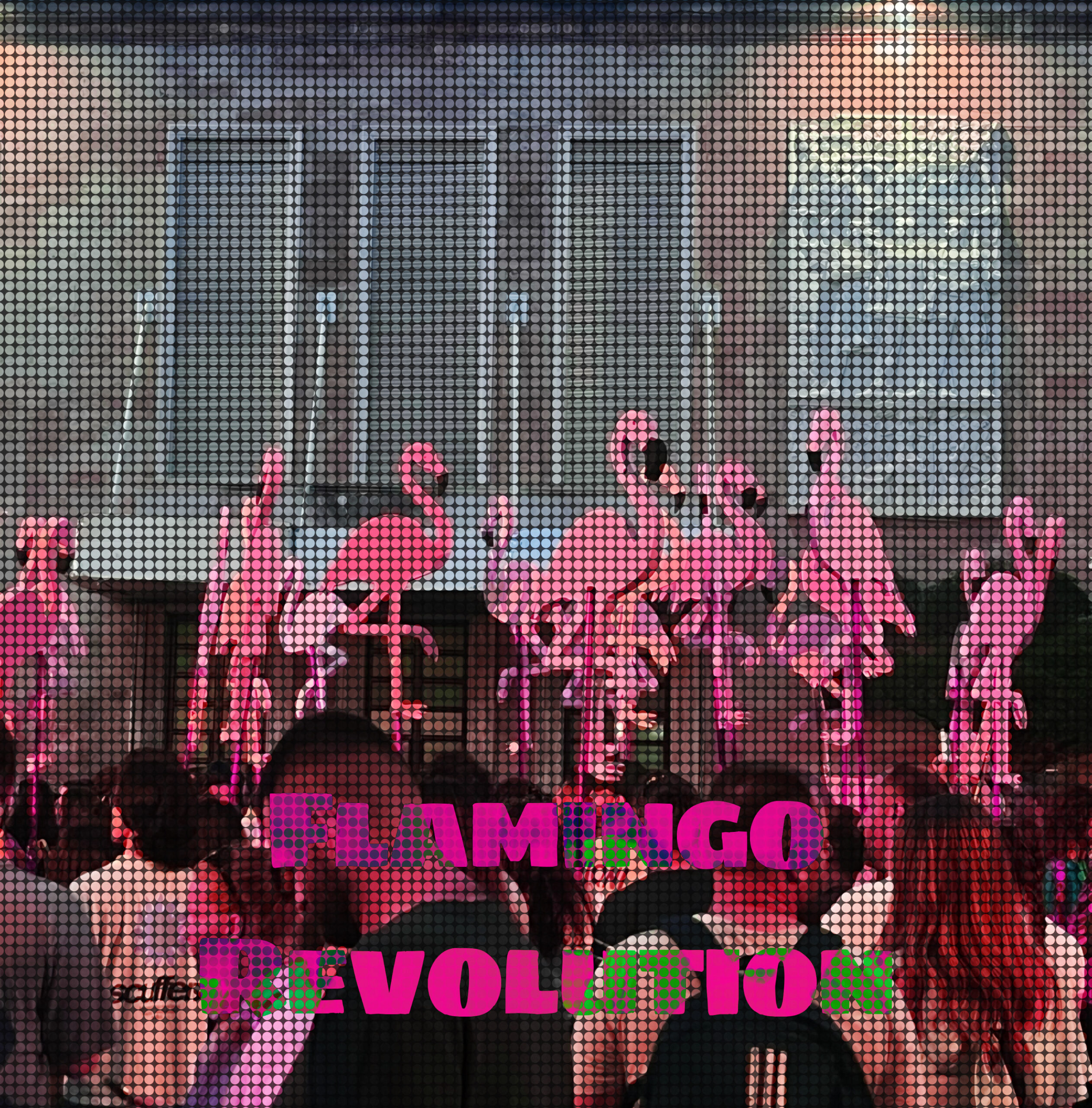 Revolucioni Flamingo- Nga Rigers Balliu